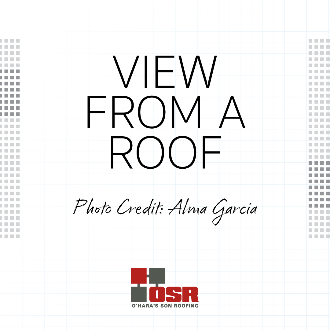 A View From a Roof – Episode 1