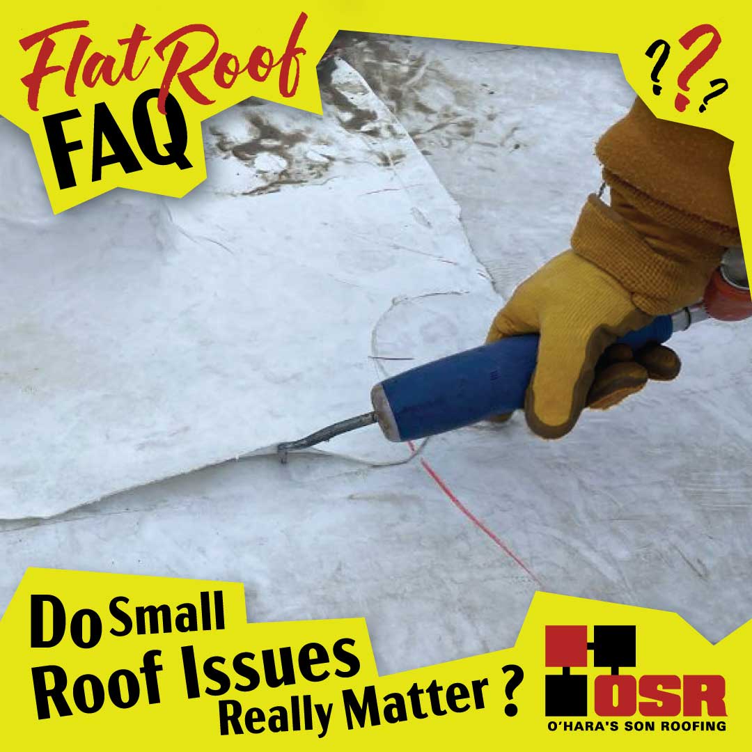 Do small roof issues really matter?
