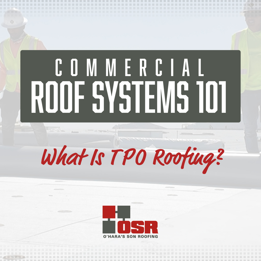 What Is TPO Roofing?