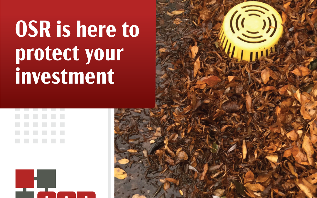 Fall Commercial Roof Maintenance