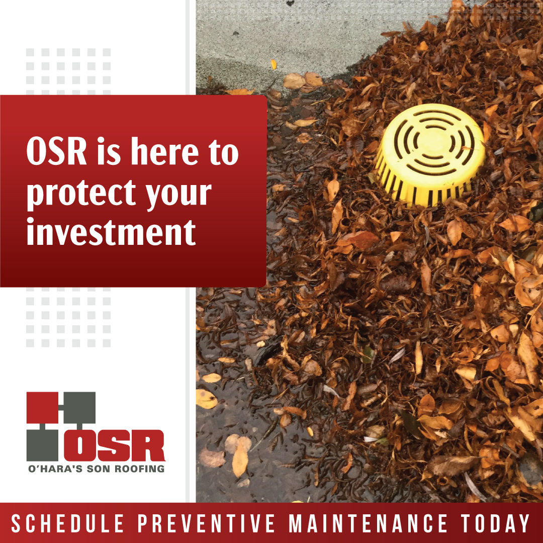 Fall Commercial Roof Maintenance