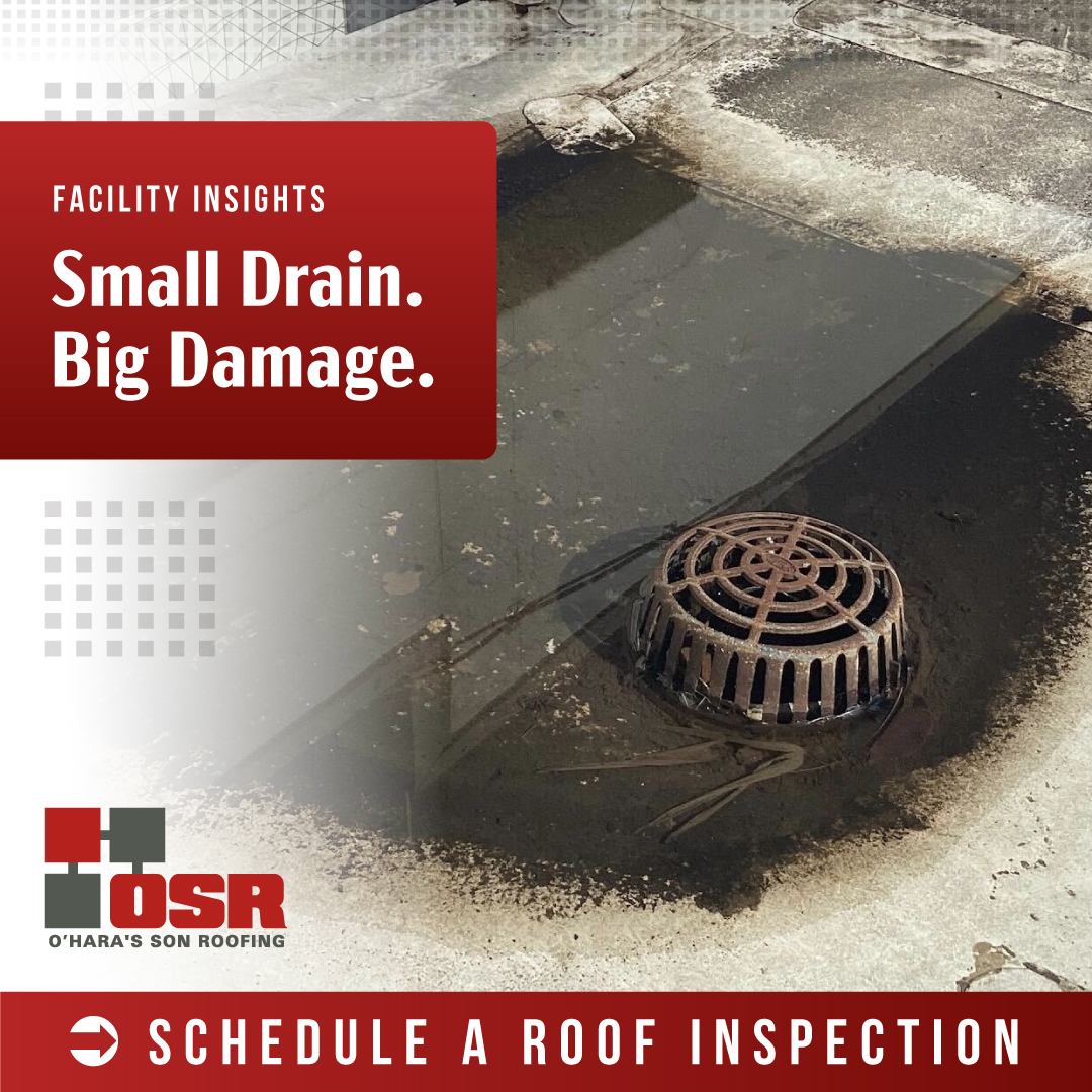 Clogged Roof Drains Cause Big Problems